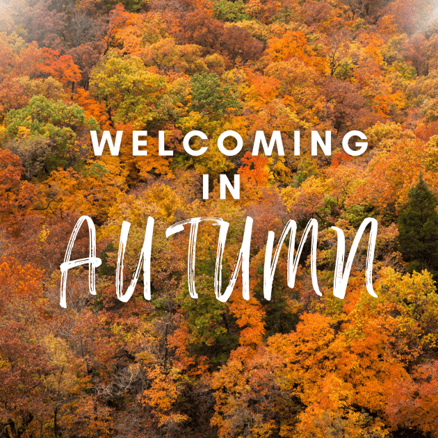 Welcoming in Autumn Meditation