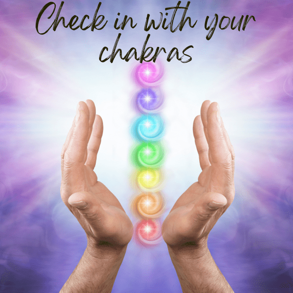 Check In- The first cycle of the 3 Cs - Image 4