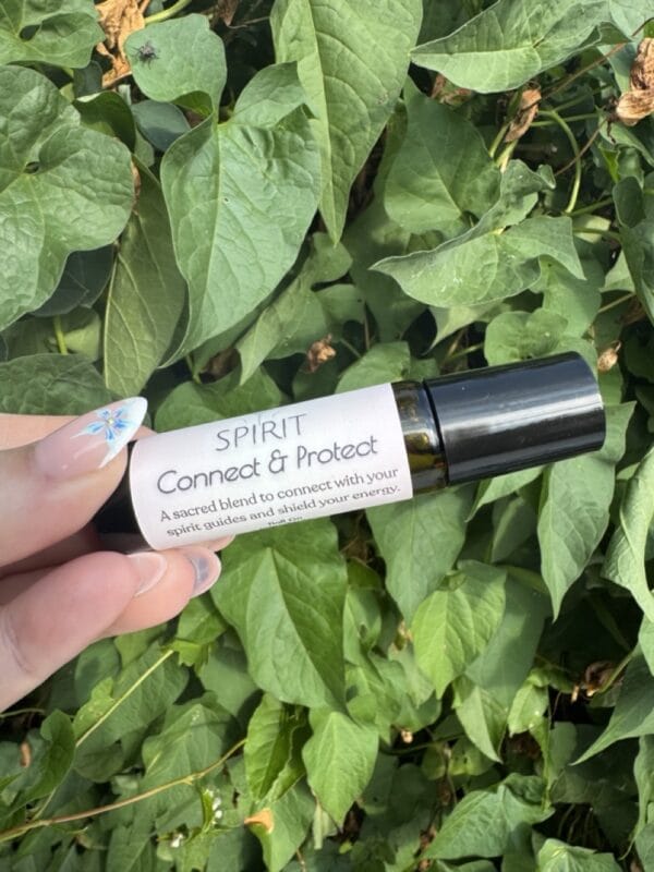 Spirit: Connect & Protect